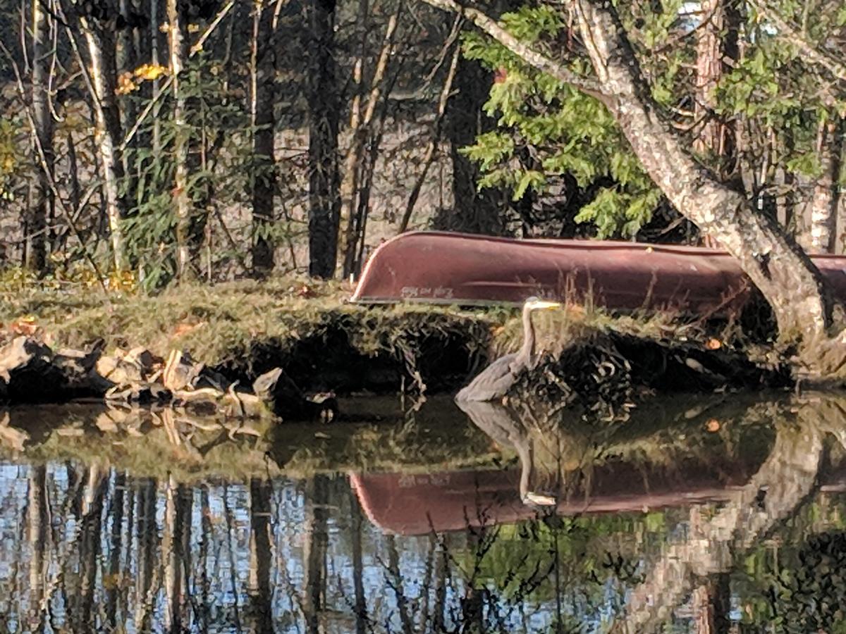 An Oasis In The Country - thumb 14