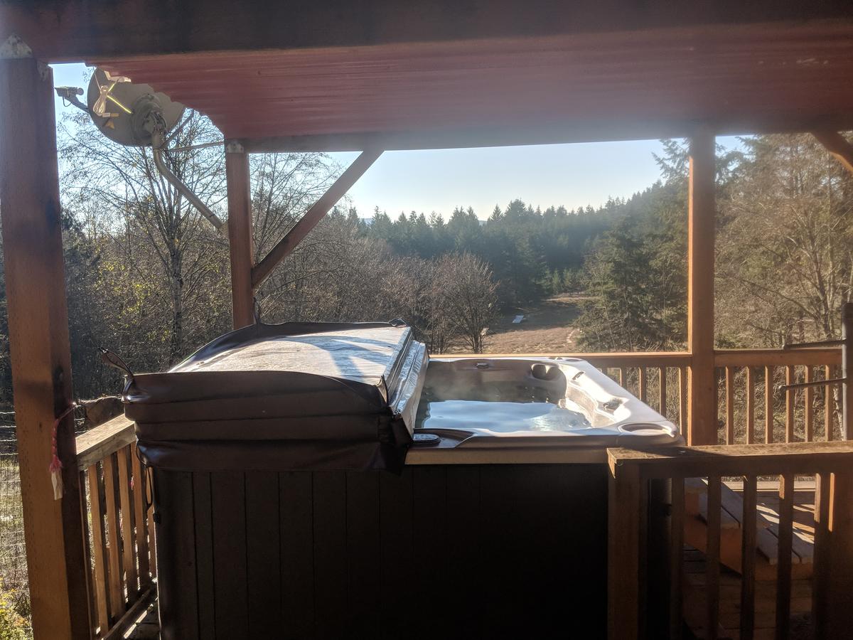 An Oasis In The Country - thumb 5