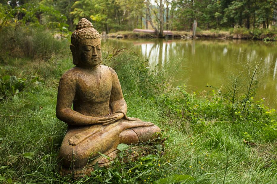 An Oasis In The Country - thumb 17