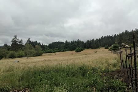 An Oasis In The Country - thumb 10