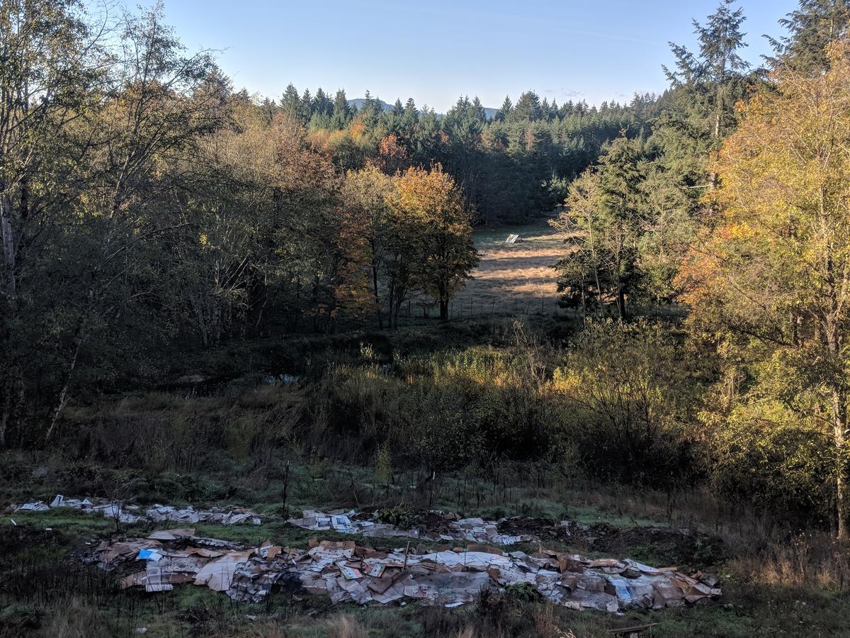 An Oasis In The Country - thumb 15