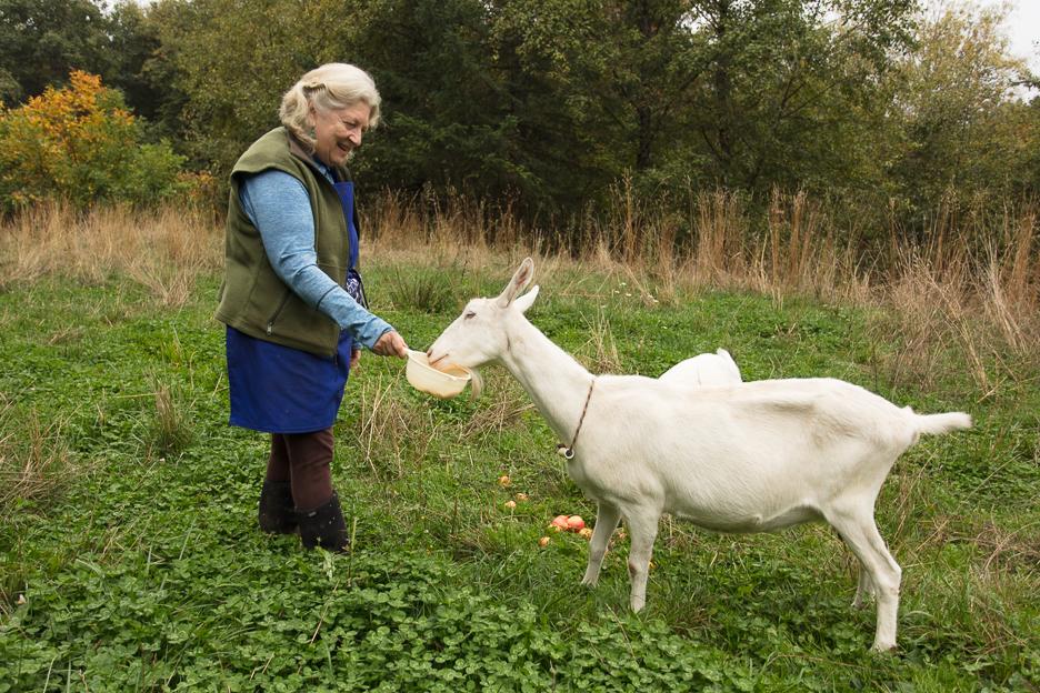 An Oasis In The Country - thumb 12