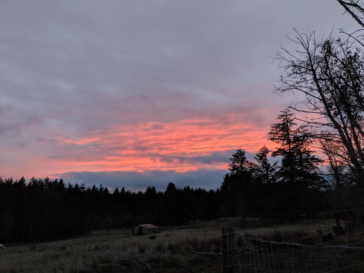 An Oasis In The Country - thumb 16