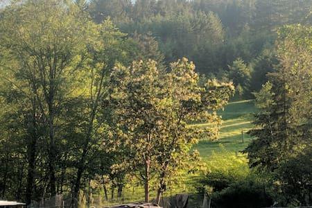 An Oasis In The Country - thumb 11