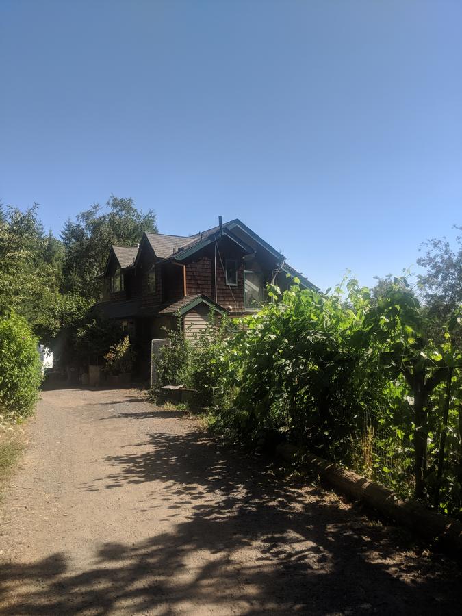 An Oasis In The Country - thumb 0