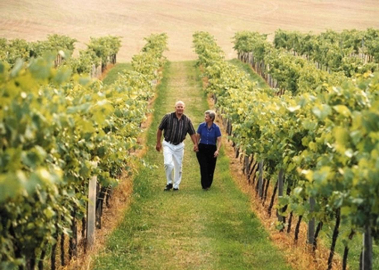 Hampton Inn Lehighton - Jim Thorpe - thumb 38