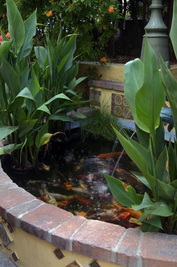 The Avalon Hotel In Catalina Island - thumb 37