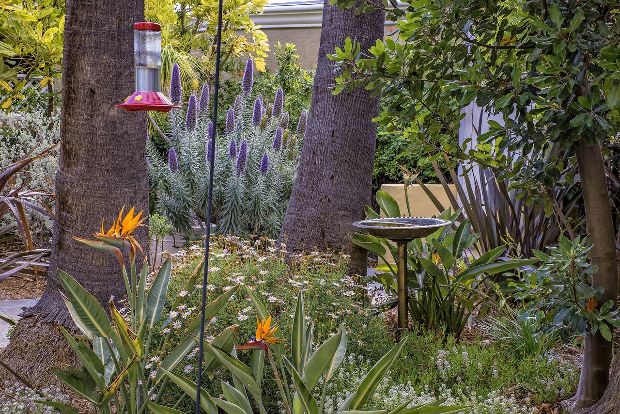 The Avalon Hotel In Catalina Island - thumb 1