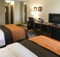 Comfort Inn Clemson - University Area - Tourism House