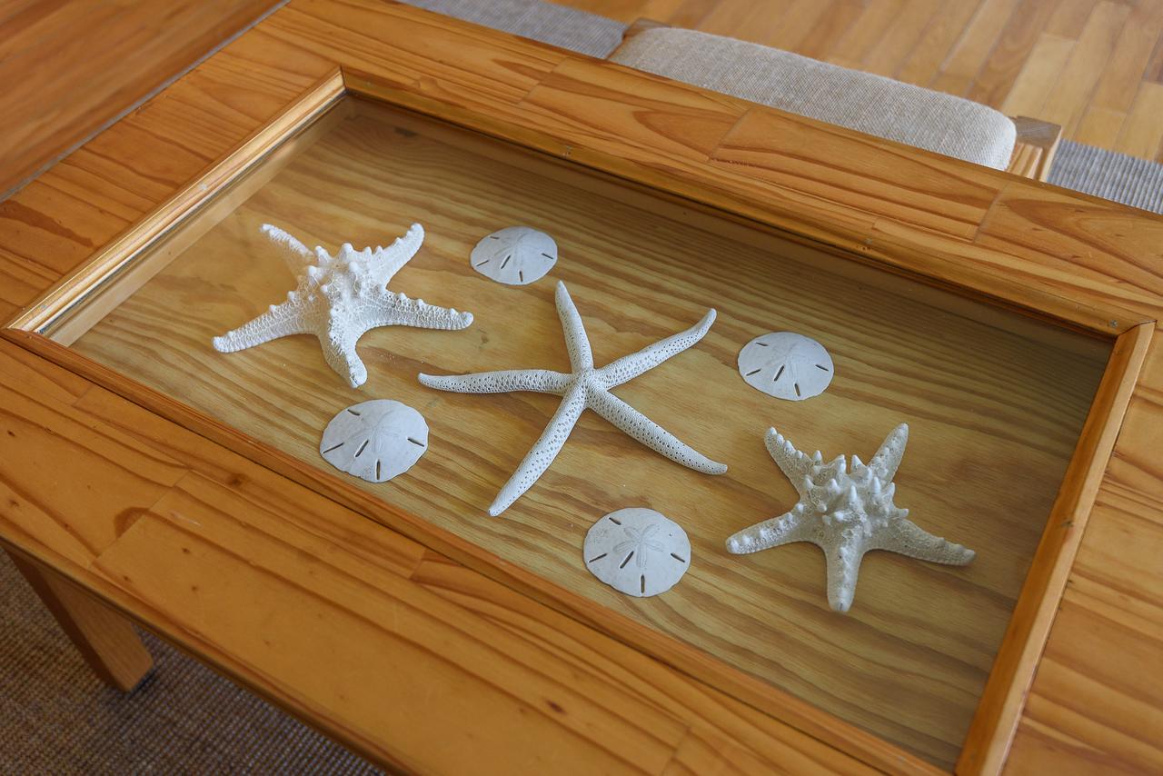 21 Turtle Bay Carolina Tides - thumb 24