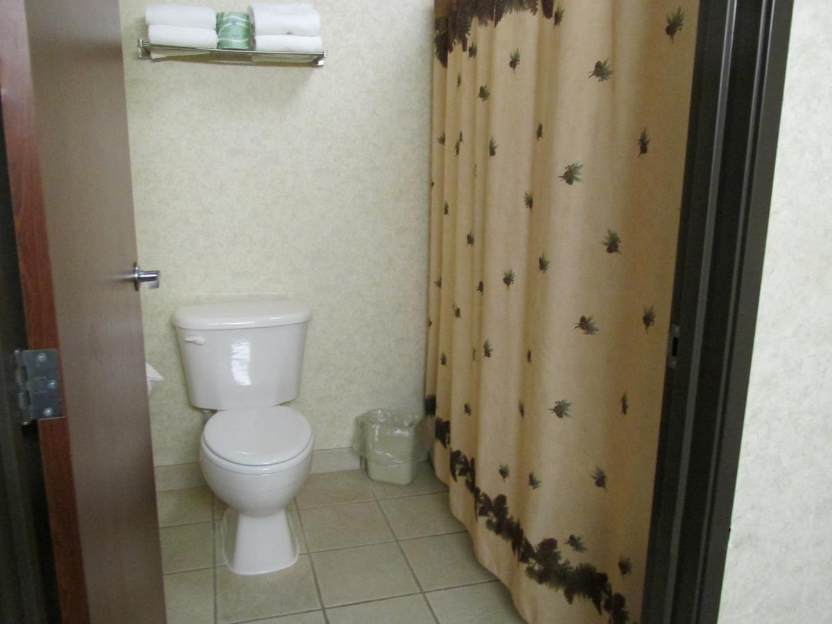 Kelly Inn And Suites Mitchell - thumb 1