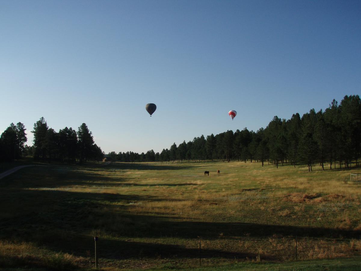 Whitetail Meadow - thumb 2