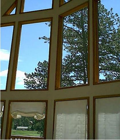 ThunderHeart - thumb 13