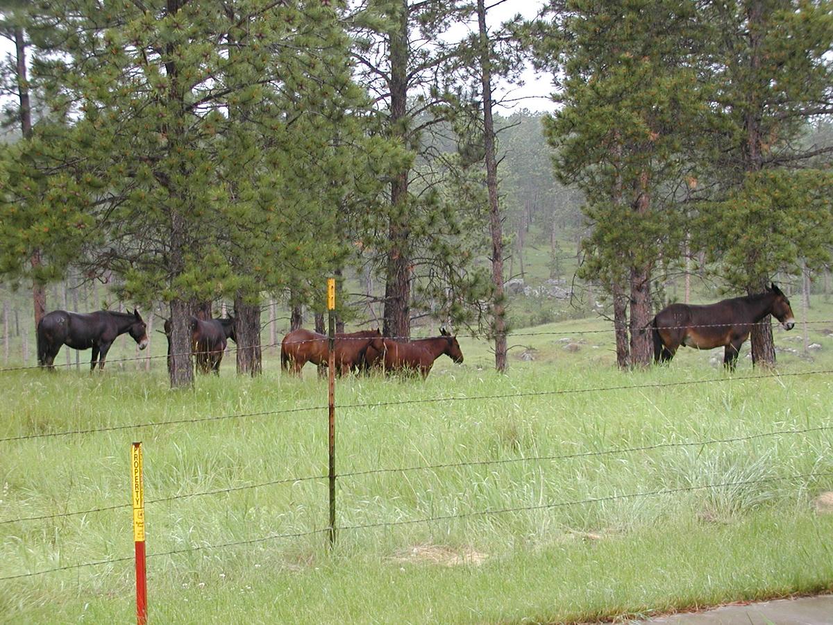 Lefty's Hideout - thumb 8