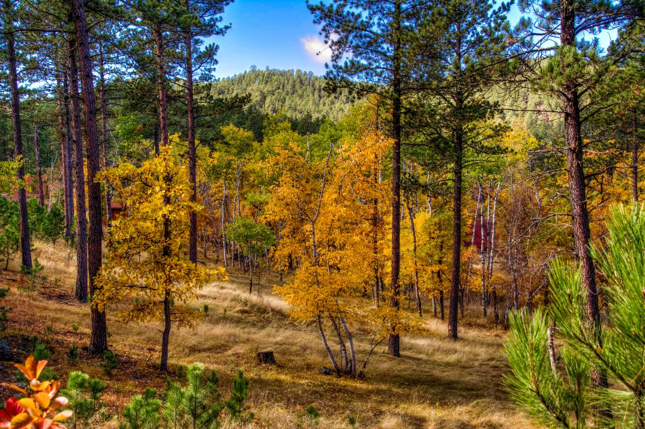 Yak Ridge Cabins And Farmstead By Mount Rushmore - thumb 3