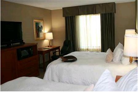 Hampton Inn Mitchell - thumb 9