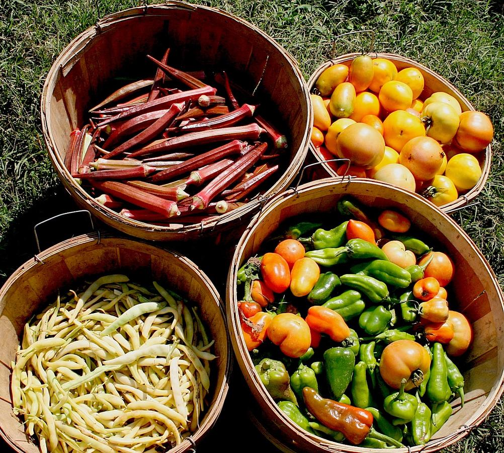 The Hermitage Hotel - thumb 19