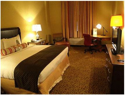 DoubleTree By Hilton Memphis Downtown - thumb 11