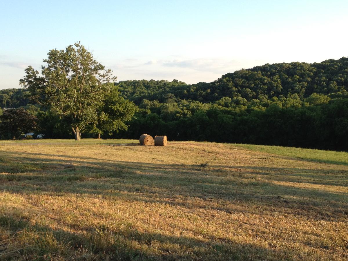 Thistletop Inn - thumb 32