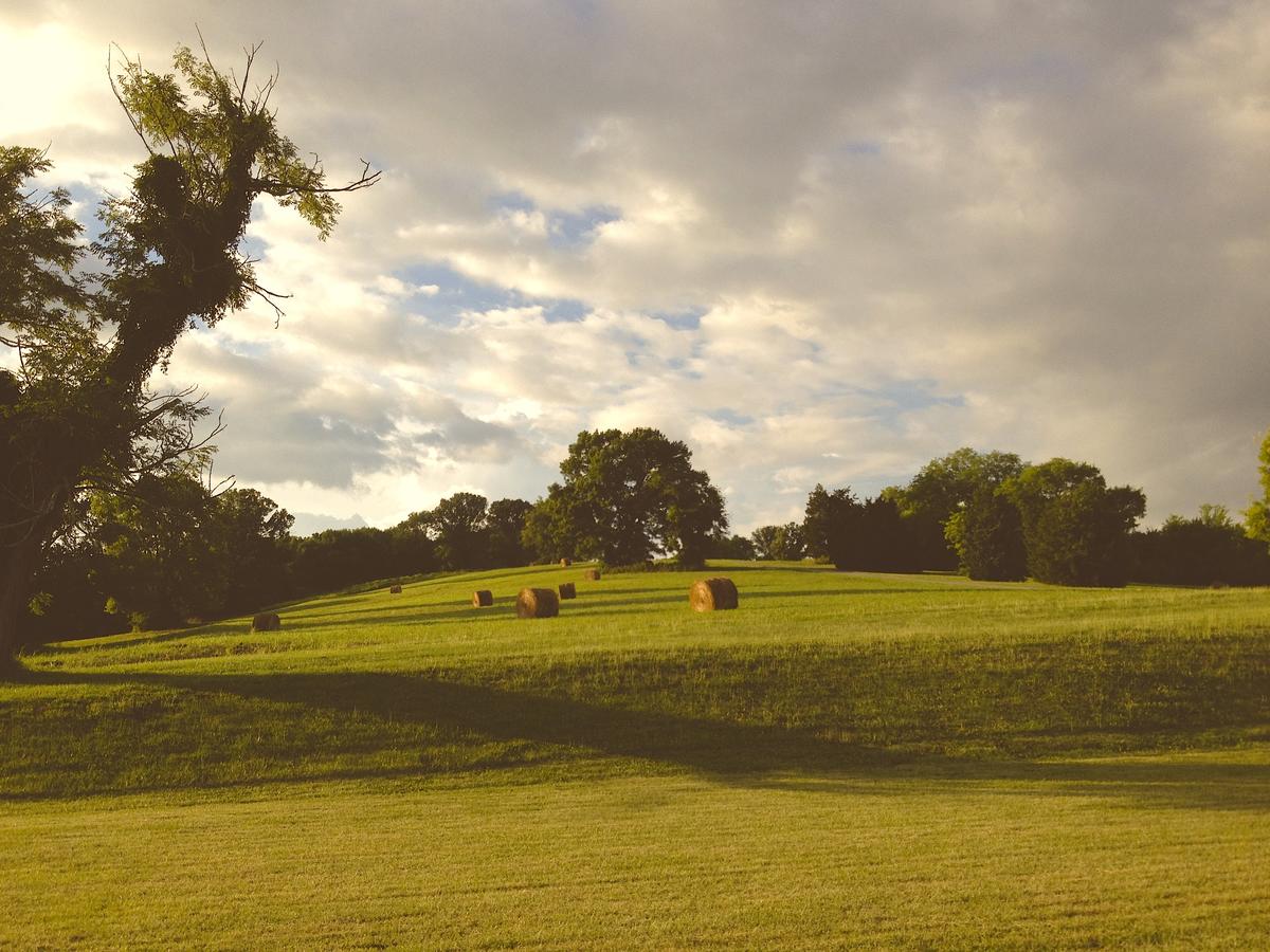 Thistletop Inn - thumb 29