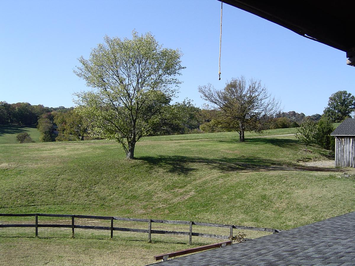 Thistletop Inn - thumb 30