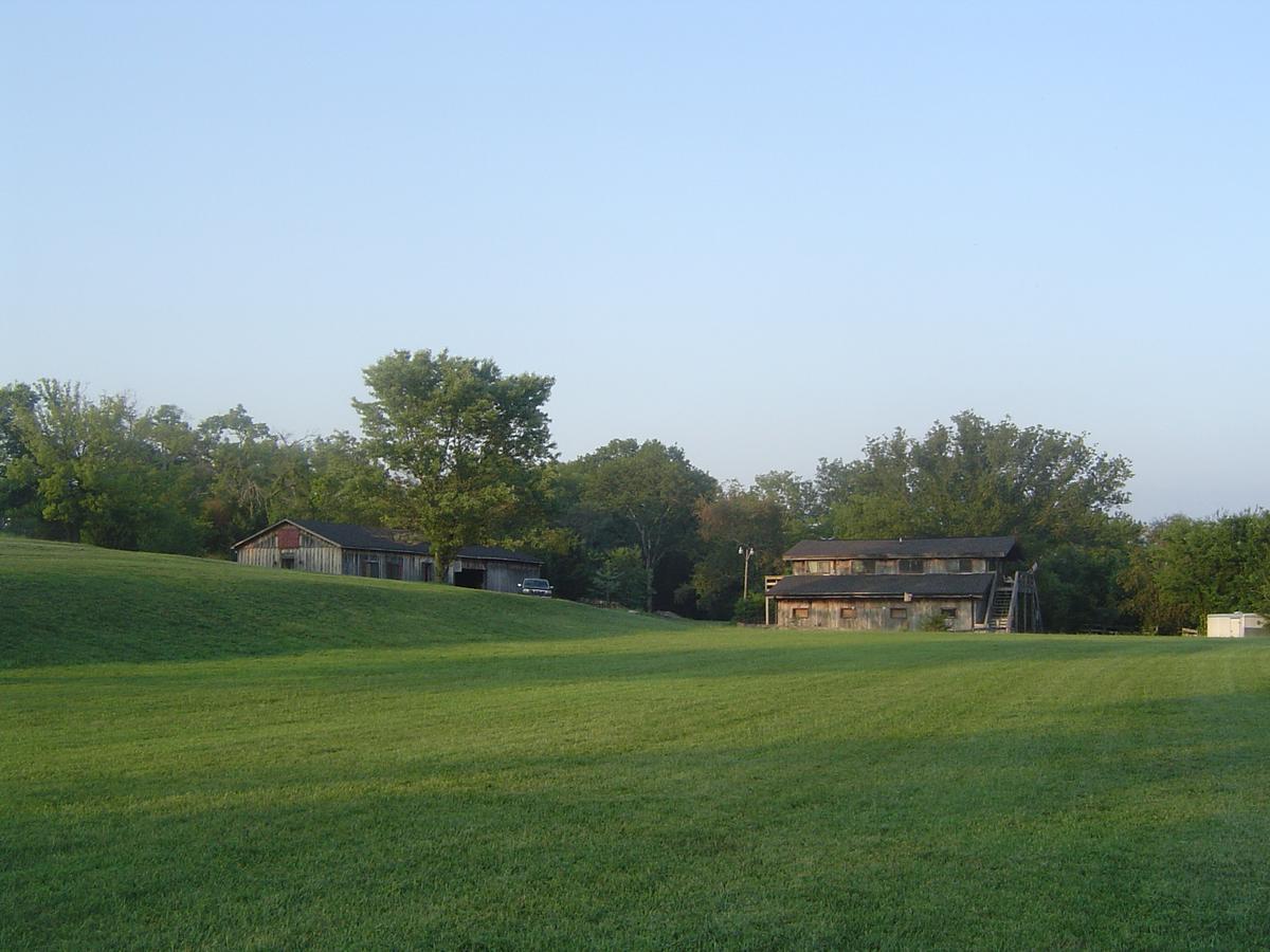 Thistletop Inn - thumb 31