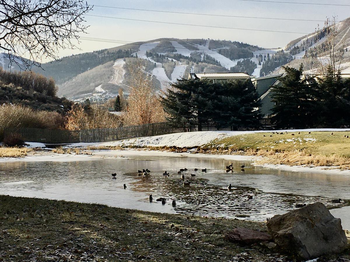 Ski Slope View Townhome - thumb 41