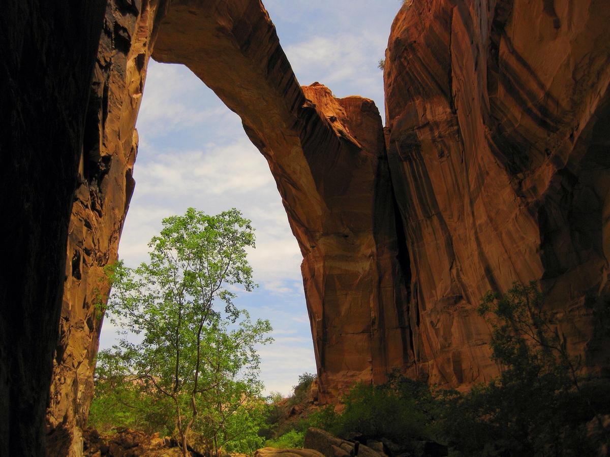 Canyon Country Lodge - thumb 12