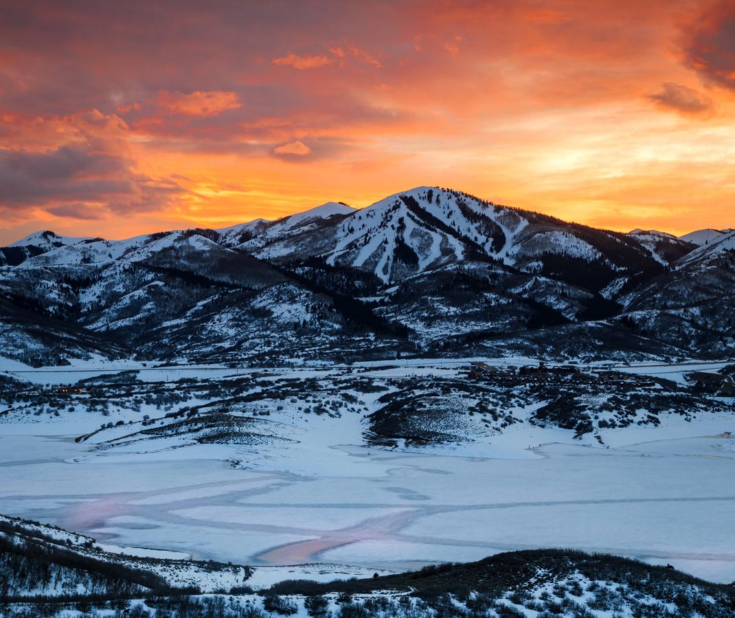 1415 Lowell Ave Condo - thumb 13