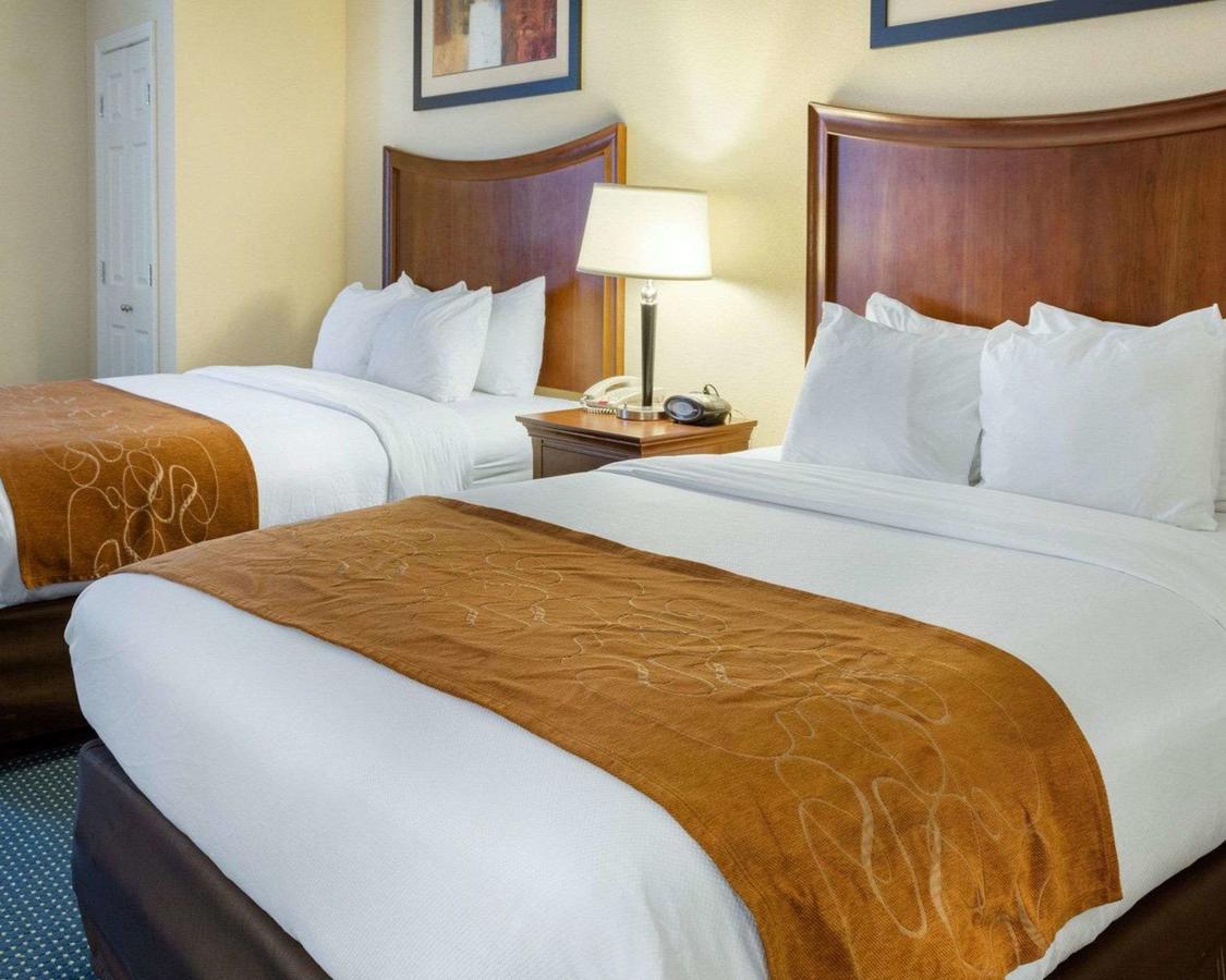 Comfort Suites Newport News Airport - thumb 12