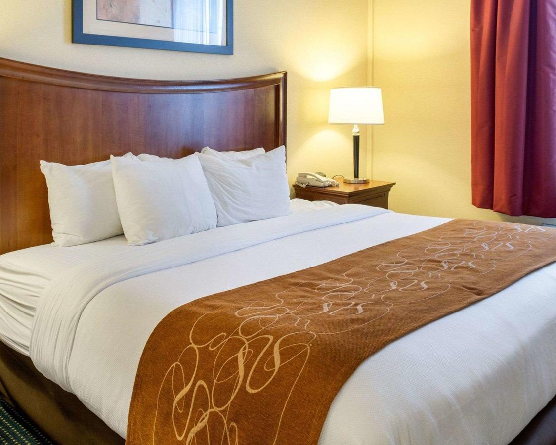 Comfort Suites Newport News Airport - thumb 10