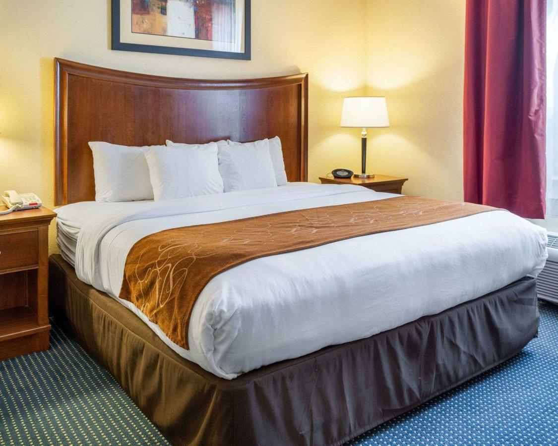 Comfort Suites Newport News Airport - thumb 16