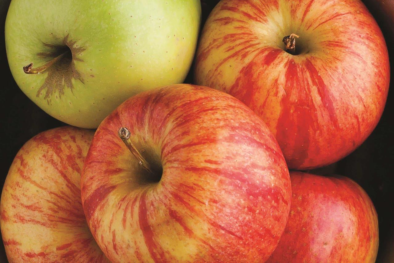 La Quinta By Wyndham Norfolk Airport - thumb 10