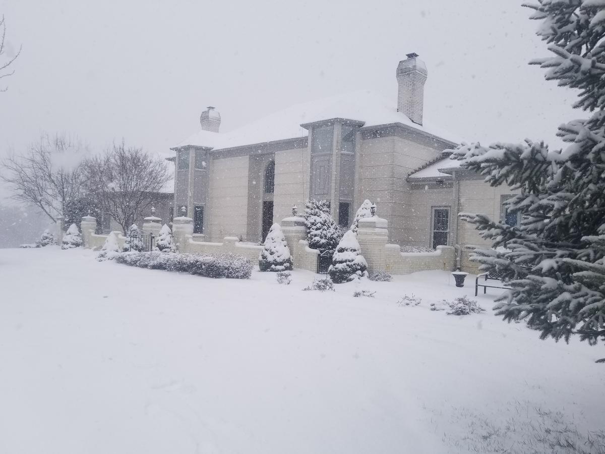 Liberty Villa - thumb 42