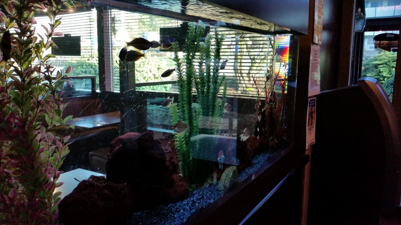 Motel Puyallup - thumb 35