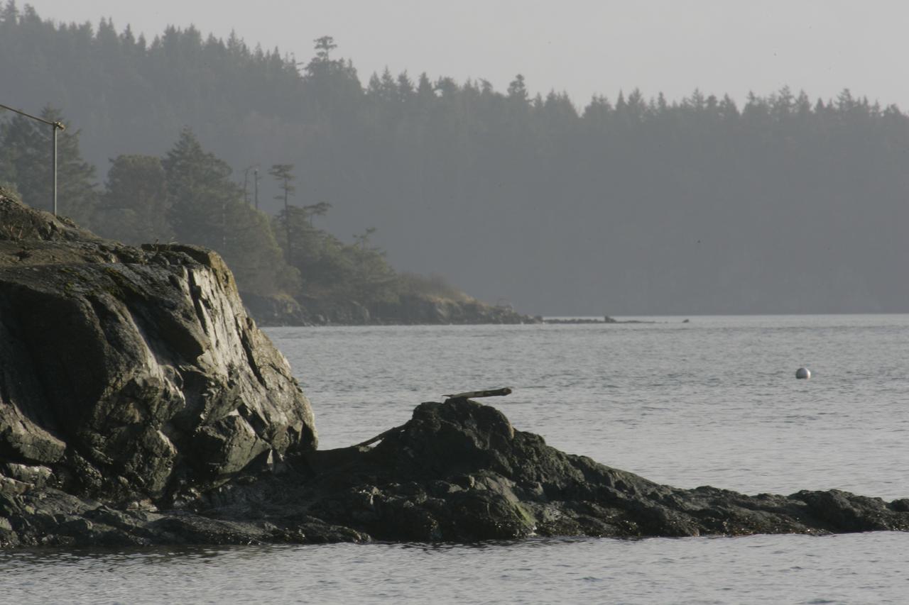 La Conner Camping Resort Beach Cabin 2 - thumb 6