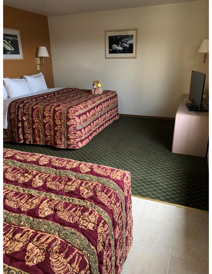 Kings Inn Cody - thumb 10