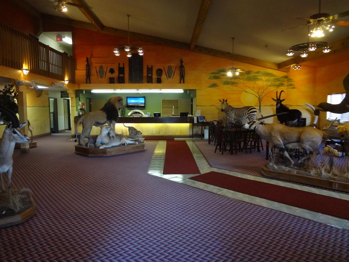 Kings Inn Cody - thumb 43