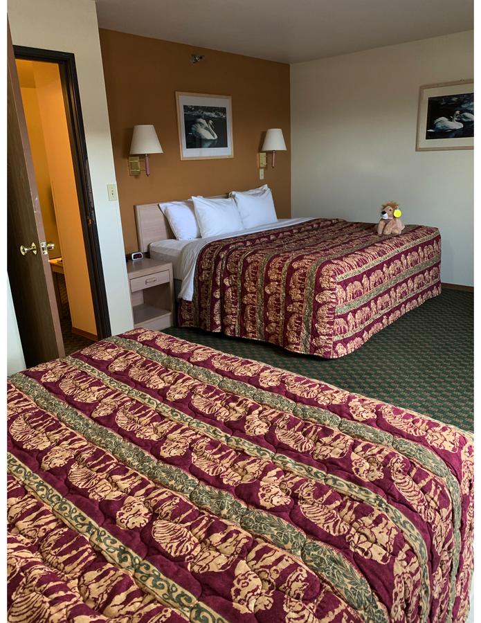 Kings Inn Cody - thumb 9