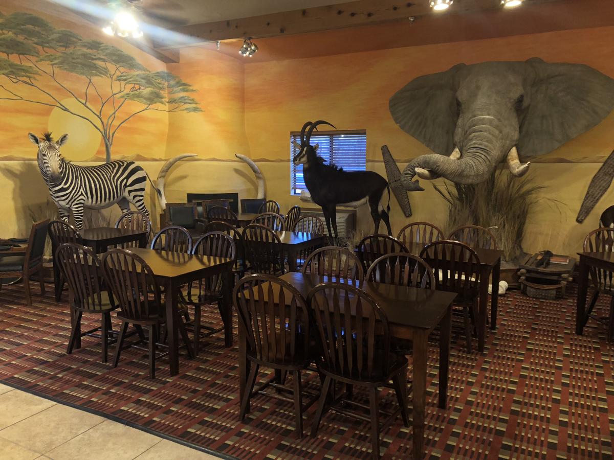 Kings Inn Cody - thumb 33