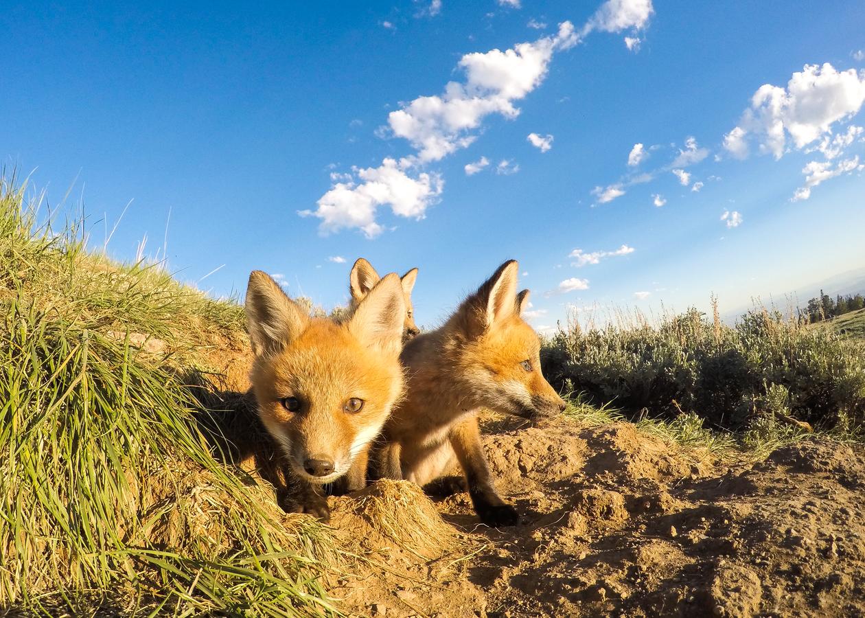 Wyoming High Country Lodge - thumb 8