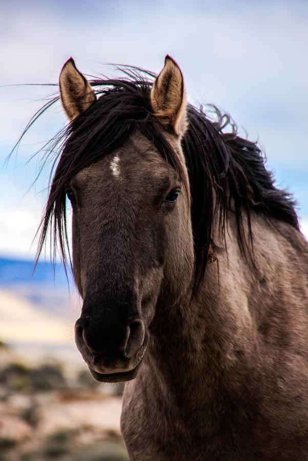 Wyoming High Country Lodge - thumb 31