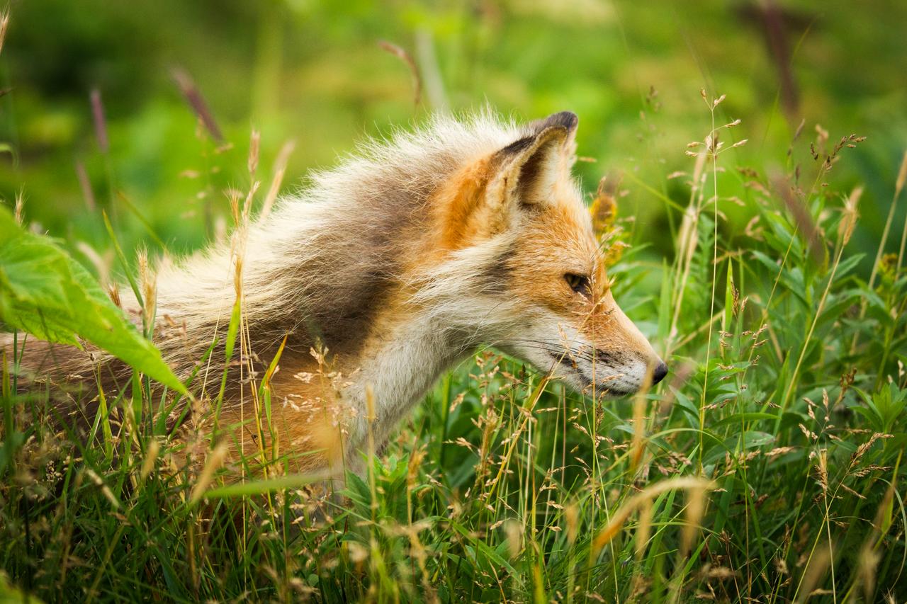 Wyoming High Country Lodge - thumb 24