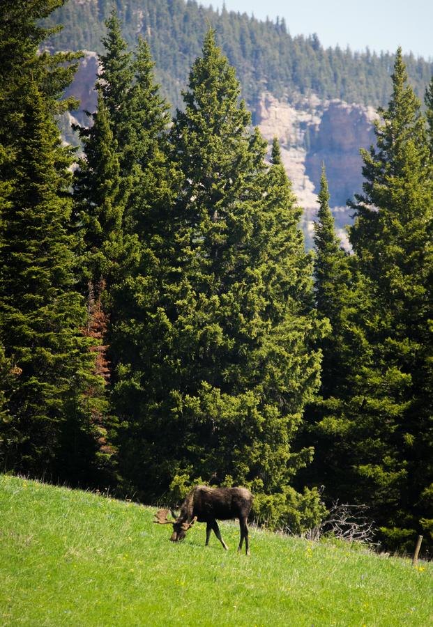 Wyoming High Country Lodge - thumb 44