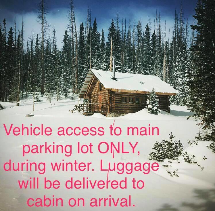 Snowy Mountain Lodge - thumb 1