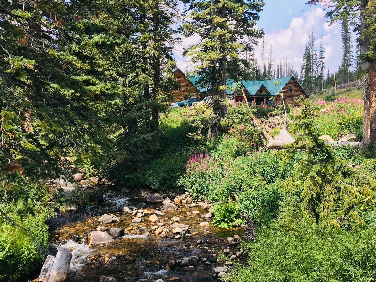 Snowy Mountain Lodge - thumb 8