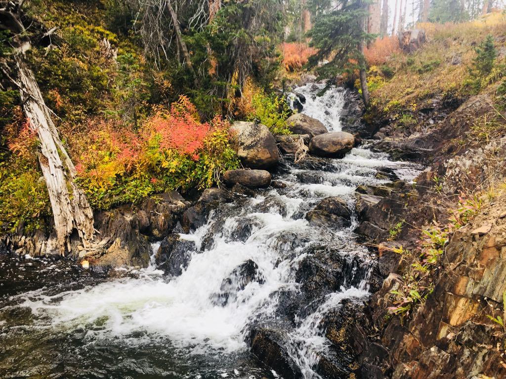 Snowy Mountain Lodge - thumb 33