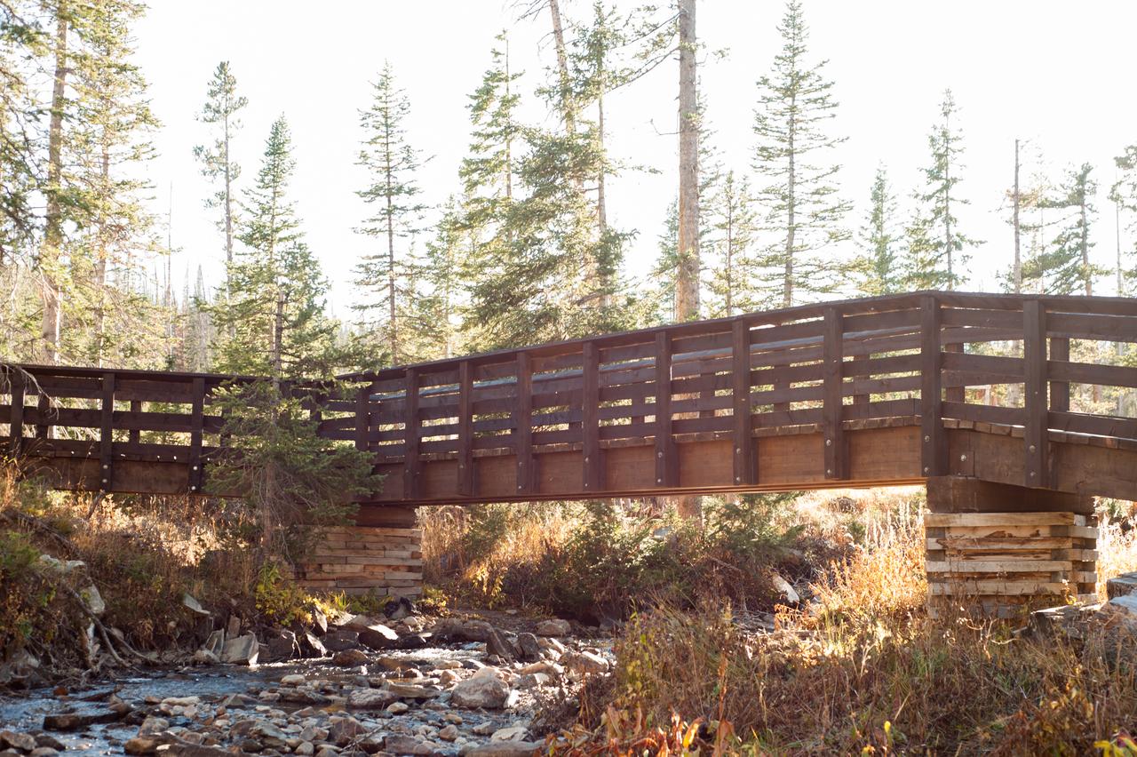 Snowy Mountain Lodge - thumb 35