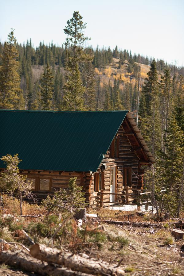 Snowy Mountain Lodge - thumb 11