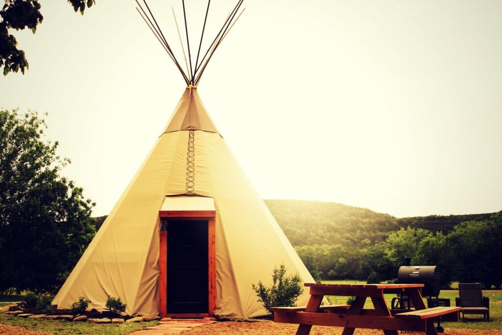 5 Yellow Flower - Tipis On The Guadalupe - thumb 3